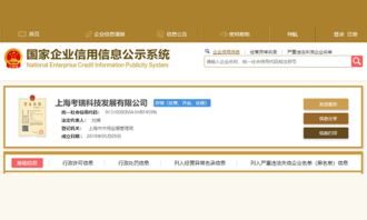 前摩拜美女CEO套现15亿后再度创业，进军翻译服务领域